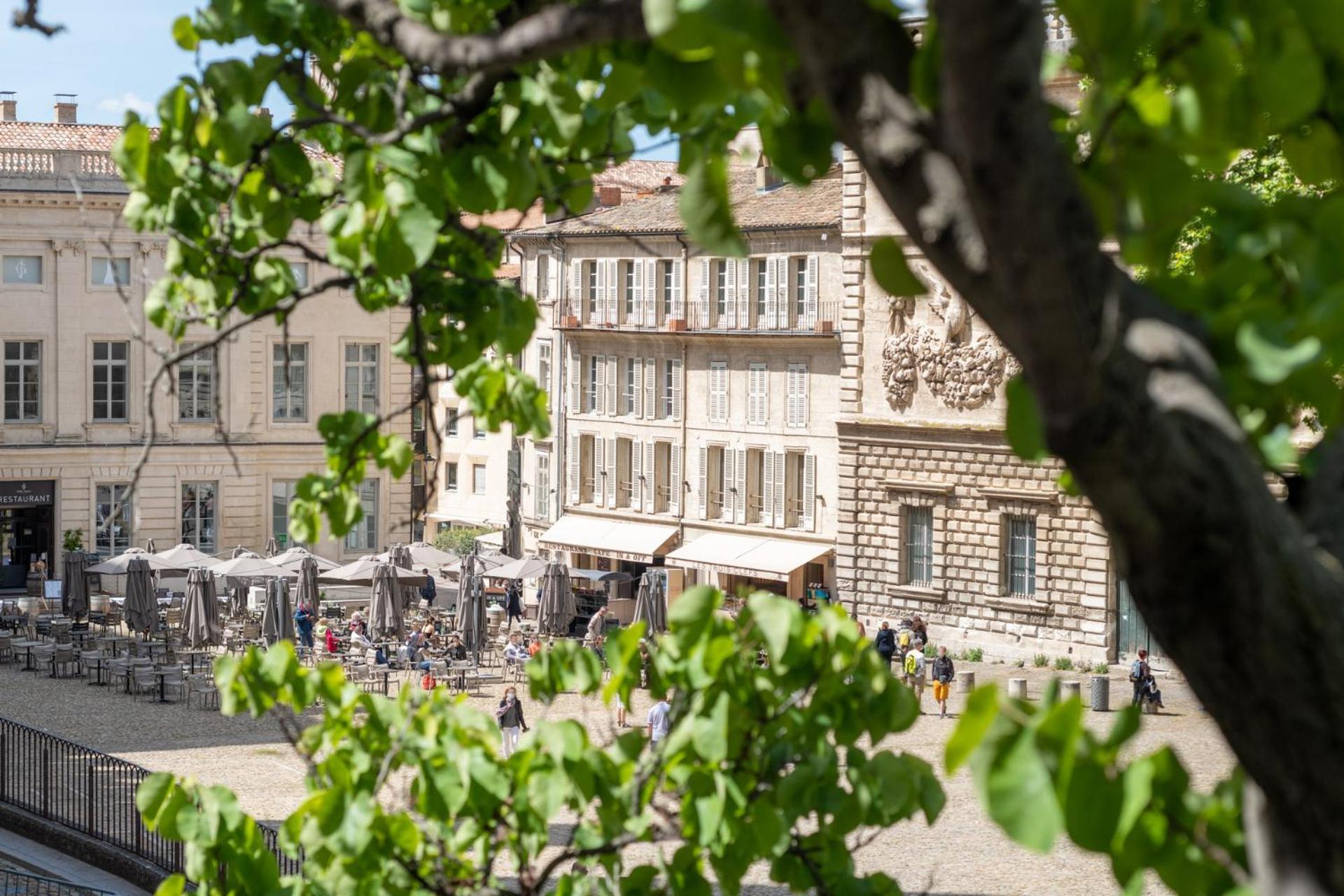 Appartamento Bien D'Exception En Face Du Palais Des Papes Avignone Esterno foto